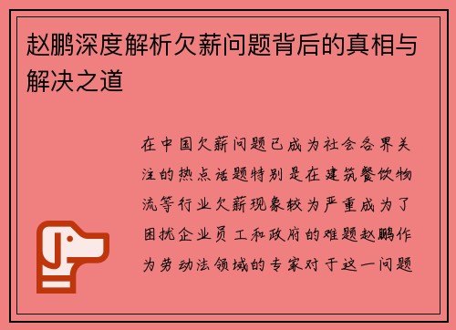 赵鹏深度解析欠薪问题背后的真相与解决之道
